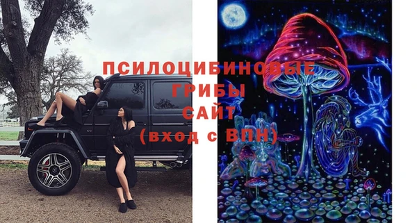 ПСИЛОЦИБИНОВЫЕ ГРИБЫ Горно-Алтайск