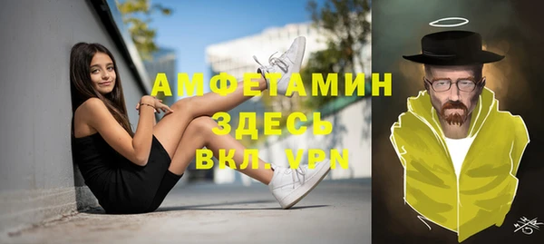 ПСИЛОЦИБИНОВЫЕ ГРИБЫ Горно-Алтайск