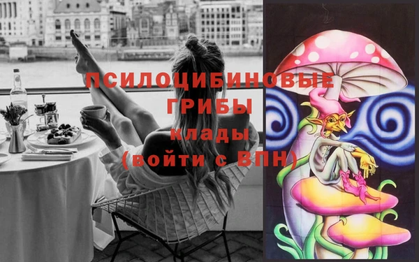 мдпв Гусь-Хрустальный