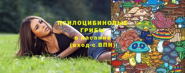 мдпв Гусь-Хрустальный