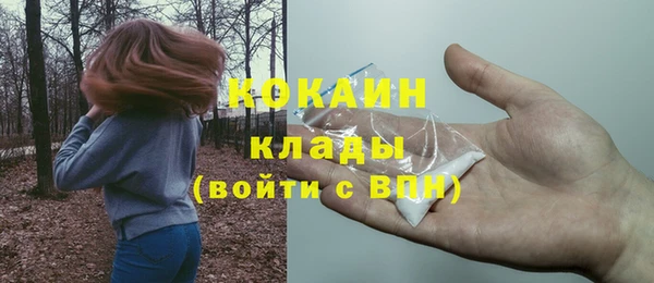 мдпв Гусь-Хрустальный