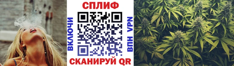 Купить где  Куйбышев  МАРИХУАНА SATIVA & INDICA 